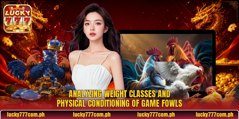 Analyzing weight classes and physical conditioning of game fowls Analyzing weight classes and physical conditioning of game fowls