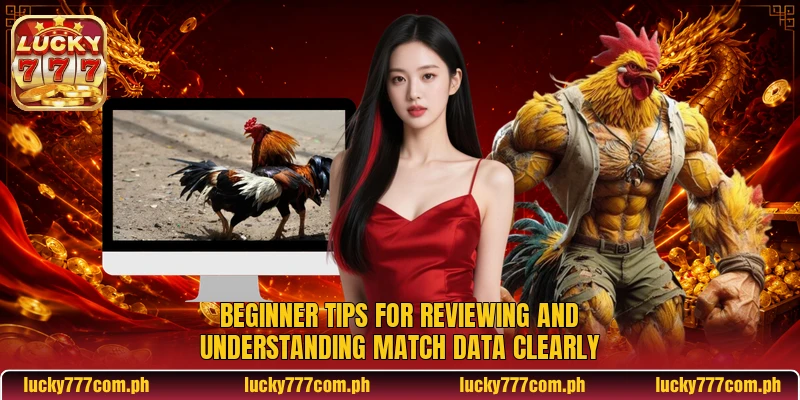 Beginner tips for reviewing and understanding match data clearly