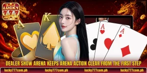 Dealer Show Arena Keeps Arena Action Clear From The First Step