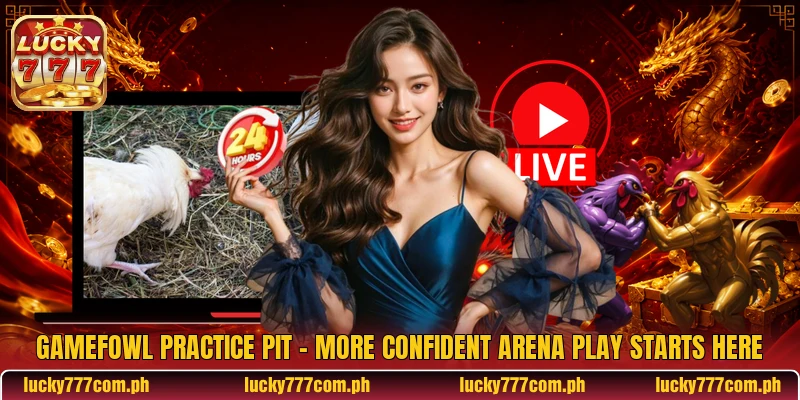 Gamefowl Practice Pit - More Confident Arena Play Starts Here