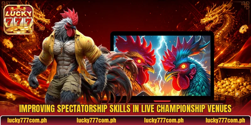 Improving spectatorship skills in live championship venues Improving spectatorship skills in live championship venues