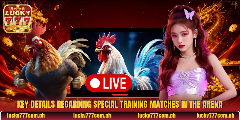 Key details regarding special training matches in the arena
