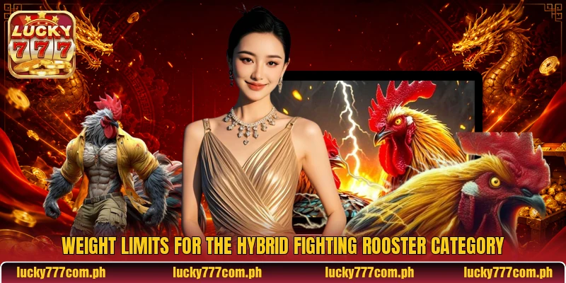 Weight limits for the Hybrid Fighting Rooster category